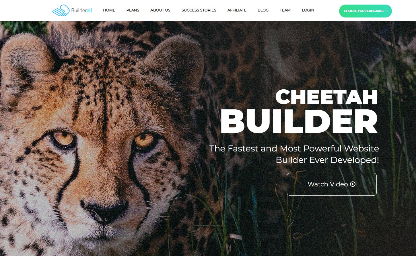 cheetah-wordpress-builder-review